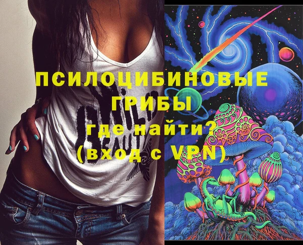 ешки Володарск