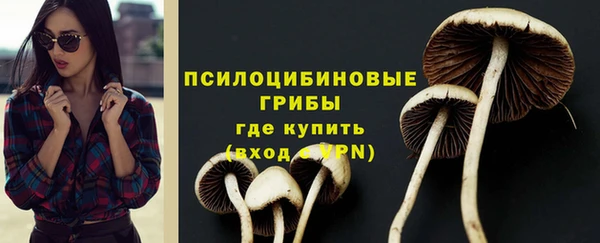 МДПВ Волоколамск
