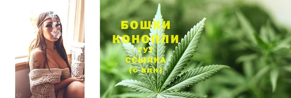 МДПВ Волоколамск