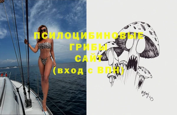 МДПВ Волоколамск