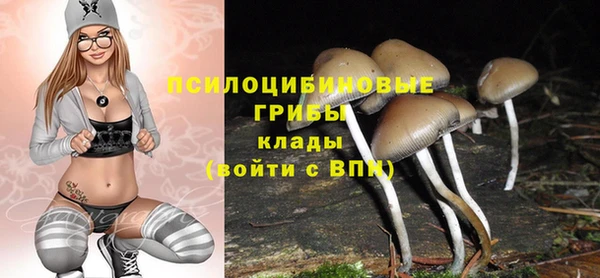 МДПВ Волоколамск