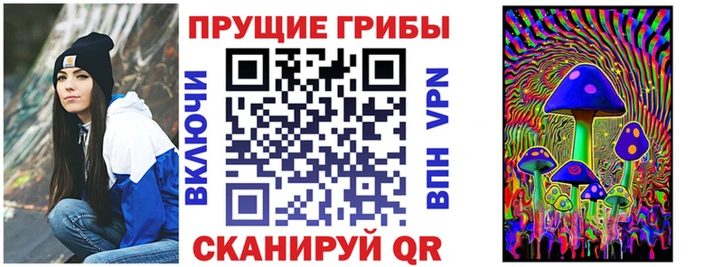 Псилоцибиновые грибы MAGIC MUSHROOMS  hydra сайт  Вытегра 