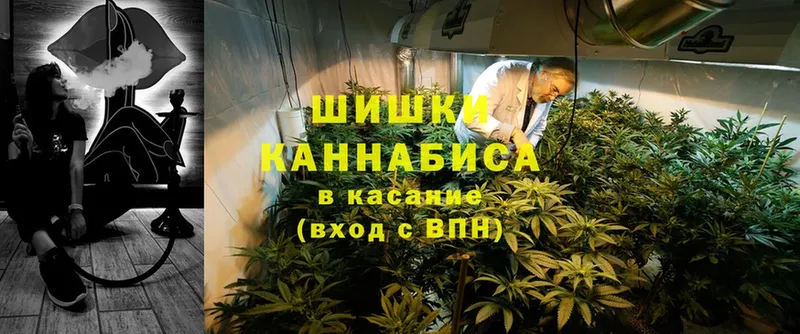 Конопля SATIVA & INDICA  купить  цена  Вытегра 